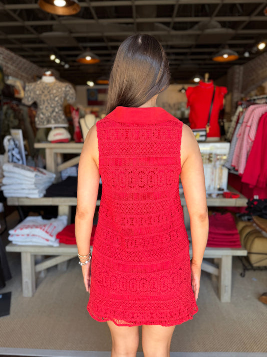 Crochet Lace Button Down Mini Dress
